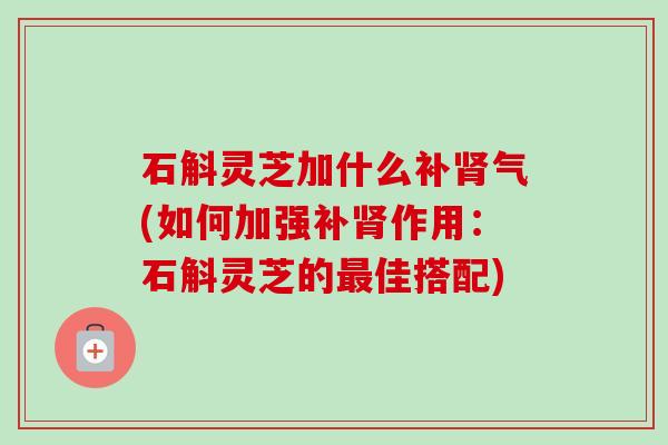 石斛灵芝加什么补肾气(如何加强补肾作用：石斛灵芝的最佳搭配)-第1张图片-卓越灵芝孢子粉