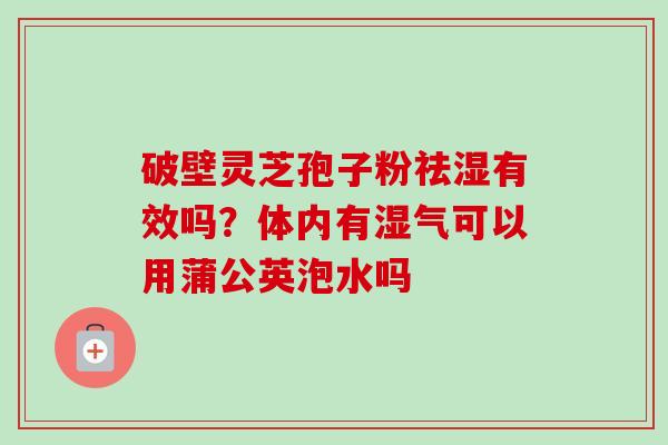 破壁灵芝孢子粉祛湿有效吗？体内有湿气可以用蒲公英泡水吗-第1张图片-卓越灵芝孢子粉