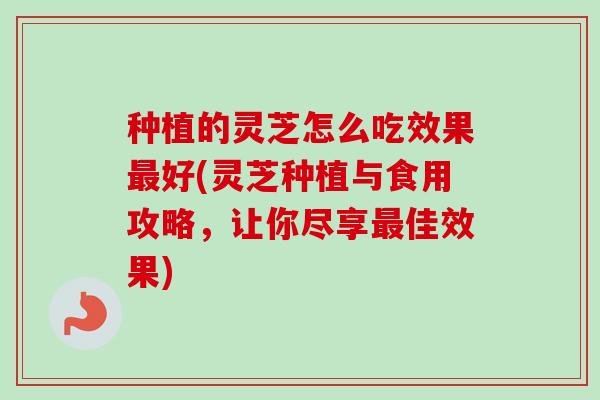 种植的灵芝怎么吃效果最好(灵芝种植与食用攻略,让你尽享最佳效果)-第1张图片-卓越灵芝孢子粉 种植的灵芝怎么吃效果最好(灵芝种植与食用攻略,让你尽享最佳效果)-第1张图片-卓越灵芝孢子粉