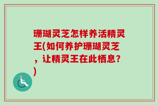 珊瑚灵芝怎样养活精灵王(如何养护珊瑚灵芝，让精灵王在此栖息？)-第1张图片-卓越灵芝孢子粉