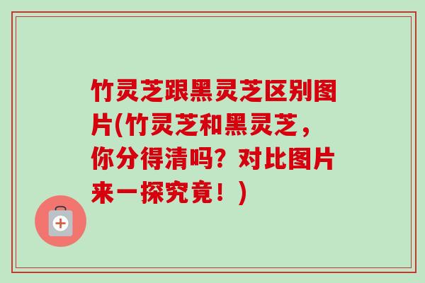 竹灵芝跟黑灵芝区别图片(竹灵芝和黑灵芝，你分得清吗？对比图片来一探究竟！)-第1张图片-卓越灵芝孢子粉