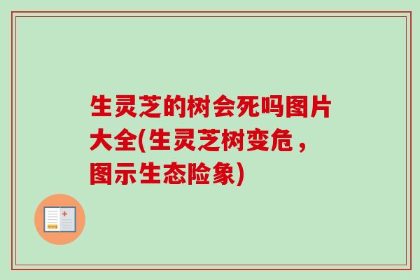 生灵芝的树会死吗图片大全(生灵芝树变危,图示生态险象)-第1张图片-卓越灵芝孢子粉 生灵芝的树会死吗图片大全(生灵芝树变危,图示生态险象)-第1张图片-卓越灵芝孢子粉