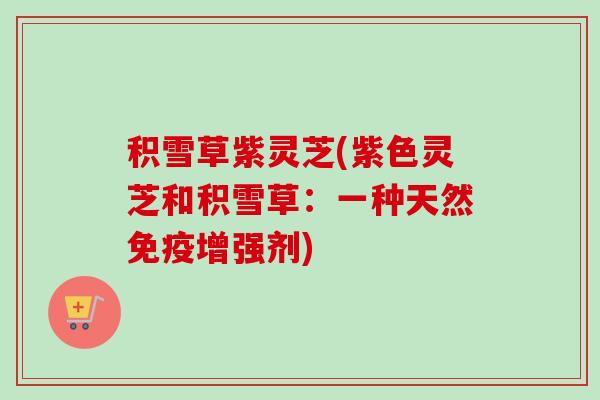 积雪草紫灵芝(紫色灵芝和积雪草:一种天然免疫增强剂)-第1张图片-卓越灵芝孢子粉 积雪草紫灵芝(紫色灵芝和积雪草:一种天然免疫增强剂)-第1张图片-卓越灵芝孢子粉