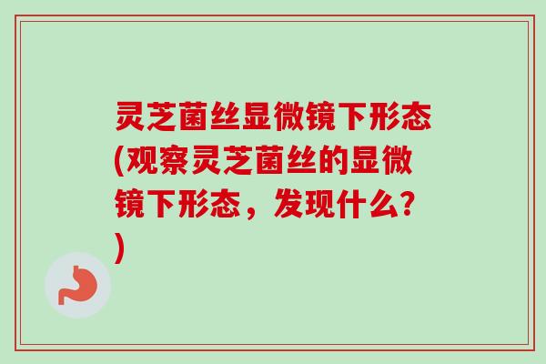 灵芝菌丝显微镜下形态(观察灵芝菌丝的显微镜下形态,发现什么?)-第1张图片-卓越灵芝孢子粉 灵芝菌丝显微镜下形态(观察灵芝菌丝的显微镜下形态,发现什么?)-第1张图片-卓越灵芝孢子粉