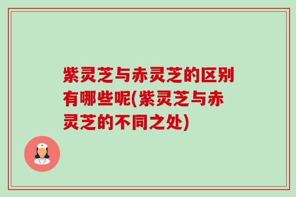 紫灵芝与赤灵芝的区别有哪些呢(紫灵芝与赤灵芝的不同之处)-第1张图片-卓越灵芝孢子粉 紫灵芝与赤灵芝的区别有哪些呢(紫灵芝与赤灵芝的不同之处)-第1张图片-卓越灵芝孢子粉