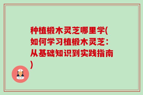 种植椴木灵芝哪里学(如何学习植椴木灵芝:从基础知识到实践指南)-第1张图片-卓越灵芝孢子粉 种植椴木灵芝哪里学(如何学习植椴木灵芝:从基础知识到实践指南)-第1张图片-卓越灵芝孢子粉