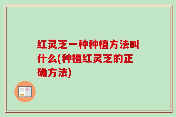 红灵芝一种种植方法叫什么(种植红灵芝的正确方法)-第1张图片-卓越灵芝孢子粉