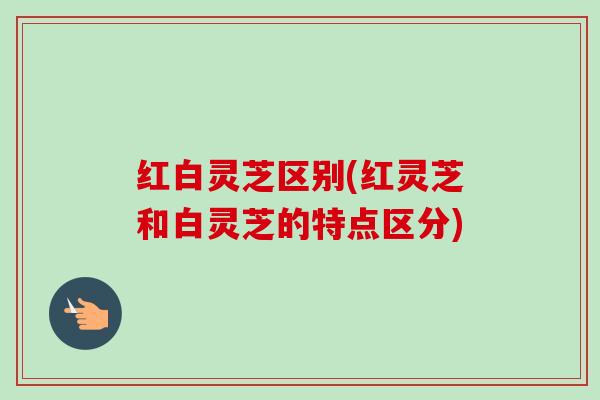 红白灵芝区别(红灵芝和白灵芝的特点区分)-第1张图片-卓越灵芝孢子粉 红白灵芝区别(红灵芝和白灵芝的特点区分)-第1张图片-卓越灵芝孢子粉