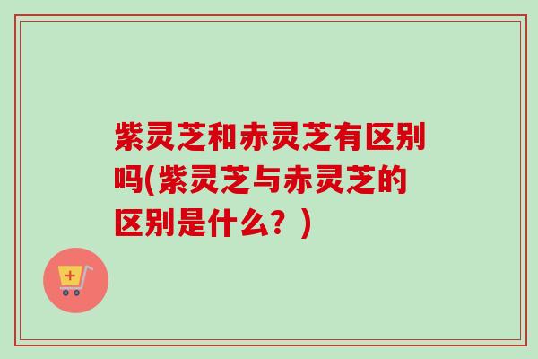 紫灵芝和赤灵芝有区别吗(紫灵芝与赤灵芝的区别是什么?)-第1张图片-卓越灵芝孢子粉 紫灵芝和赤灵芝有区别吗(紫灵芝与赤灵芝的区别是什么?)-第1张图片-卓越灵芝孢子粉