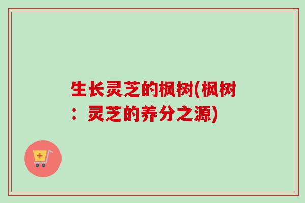生长灵芝的枫树(枫树:灵芝的养分之源)-第1张图片-卓越灵芝孢子粉 生长灵芝的枫树(枫树:灵芝的养分之源)-第1张图片-卓越灵芝孢子粉