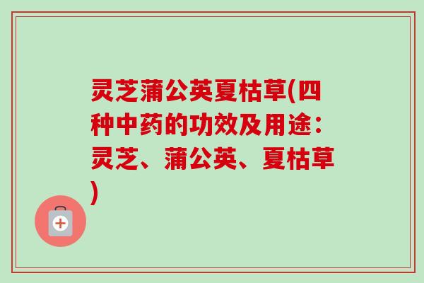 灵芝蒲公英夏枯草(四种中药的功效及用途:灵芝、蒲公英、夏枯草)-第1张图片-卓越灵芝孢子粉 灵芝蒲公英夏枯草(四种中药的功效及用途:灵芝、蒲公英、夏枯草)-第1张图片-卓越灵芝孢子粉