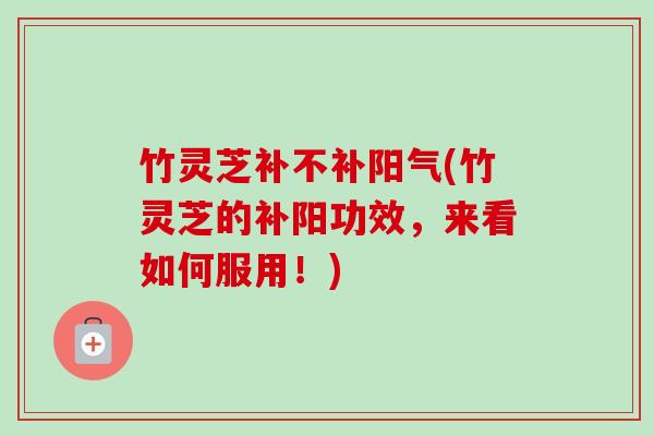 竹灵芝补不补阳气(竹灵芝的补阳功效，来看如何服用！)-第1张图片-卓越灵芝孢子粉