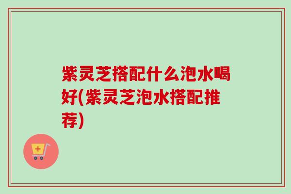 紫灵芝搭配什么泡水喝好(紫灵芝泡水搭配推荐)-第1张图片-卓越灵芝孢子粉 紫灵芝搭配什么泡水喝好(紫灵芝泡水搭配推荐)-第1张图片-卓越灵芝孢子粉
