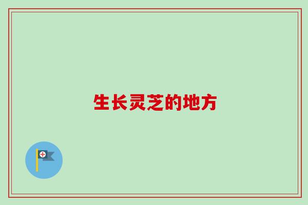 生长灵芝的地方-第1张图片-卓越灵芝孢子粉