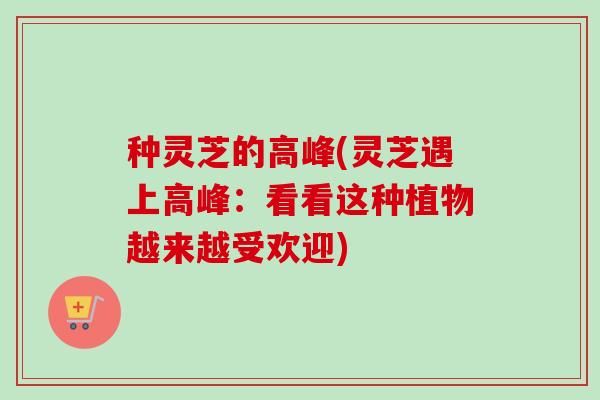 种灵芝的高峰(灵芝遇上高峰:看看这种植物越来越受欢迎)-第1张图片-卓越灵芝孢子粉 种灵芝的高峰(灵芝遇上高峰:看看这种植物越来越受欢迎)-第1张图片-卓越灵芝孢子粉