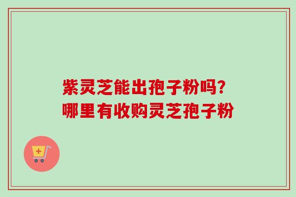 紫灵芝能出孢子粉吗？哪里有收购灵芝孢子粉-第1张图片-卓越灵芝孢子粉