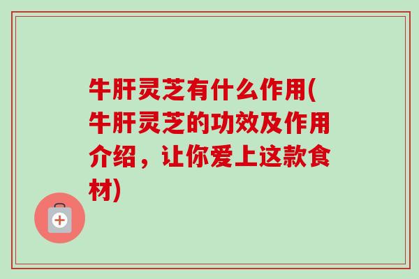 牛肝灵芝有什么作用(牛肝灵芝的功效及作用介绍,让你爱上这款食材)-第1张图片-卓越灵芝孢子粉 牛肝灵芝有什么作用(牛肝灵芝的功效及作用介绍,让你爱上这款食材)-第1张图片-卓越灵芝孢子粉