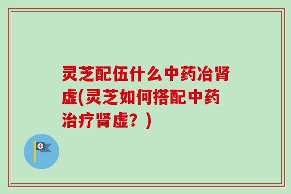 灵芝配伍什么中药冶肾虚(灵芝如何搭配中药治疗肾虚？)-第1张图片-卓越灵芝孢子粉