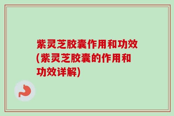 紫灵芝胶囊作用和功效(紫灵芝胶囊的作用和功效详解)-第1张图片-卓越灵芝孢子粉 紫灵芝胶囊作用和功效(紫灵芝胶囊的作用和功效详解)-第1张图片-卓越灵芝孢子粉