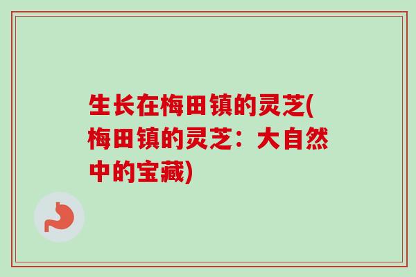 生长在梅田镇的灵芝(梅田镇的灵芝:大自然中的宝藏)-第1张图片-卓越灵芝孢子粉 生长在梅田镇的灵芝(梅田镇的灵芝:大自然中的宝藏)-第1张图片-卓越灵芝孢子粉