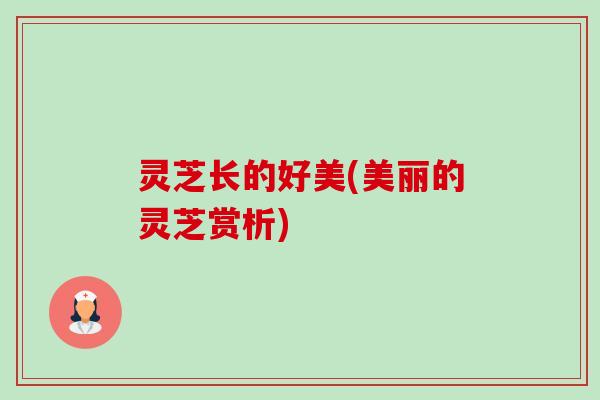 灵芝长的好美(美丽的灵芝赏析)-第1张图片-卓越灵芝孢子粉 灵芝长的好美(美丽的灵芝赏析)-第1张图片-卓越灵芝孢子粉