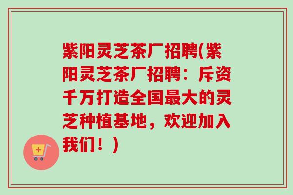 紫阳灵芝茶厂招聘(紫阳灵芝茶厂招聘:斥资千万打造全国最大的灵芝种植基地,欢迎加入我们!)-第1张图片-卓越灵芝孢子粉 紫阳灵芝茶厂招聘(紫阳灵芝茶厂招聘:斥资千万打造全国最大的灵芝种植基地,欢迎加入我们!)-第1张图片-卓越灵芝孢子粉