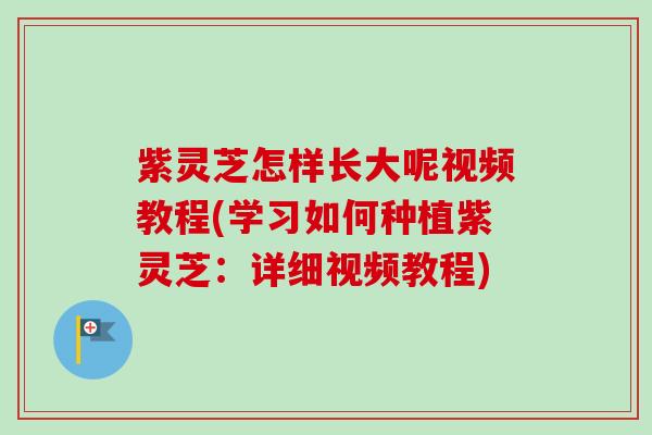 紫灵芝怎样长大呢视频教程(学习如何种植紫灵芝：详细视频教程)-第1张图片-卓越灵芝孢子粉