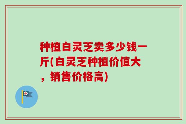 种植白灵芝卖多少钱一斤(白灵芝种植价值大,销售价格高)-第1张图片-卓越灵芝孢子粉 种植白灵芝卖多少钱一斤(白灵芝种植价值大,销售价格高)-第1张图片-卓越灵芝孢子粉