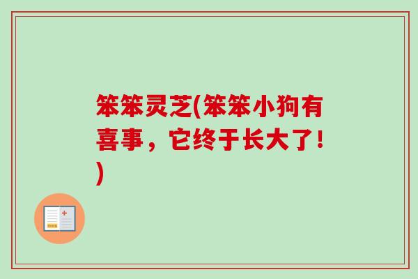 笨笨灵芝(笨笨小狗有喜事,它终于长大了!)-第1张图片-卓越灵芝孢子粉 笨笨灵芝(笨笨小狗有喜事,它终于长大了!)-第1张图片-卓越灵芝孢子粉