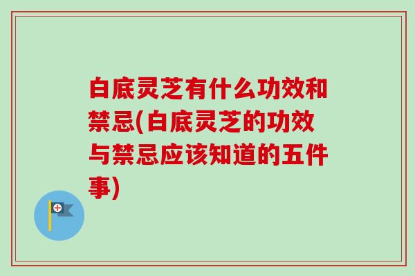 白底灵芝有什么功效和禁忌(白底灵芝的功效与禁忌应该知道的五件事)-第1张图片-卓越灵芝孢子粉 白底灵芝有什么功效和禁忌(白底灵芝的功效与禁忌应该知道的五件事)-第1张图片-卓越灵芝孢子粉