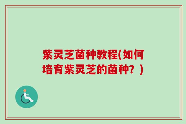 紫灵芝菌种教程(如何培育紫灵芝的菌种?)-第1张图片-卓越灵芝孢子粉 紫灵芝菌种教程(如何培育紫灵芝的菌种?)-第1张图片-卓越灵芝孢子粉