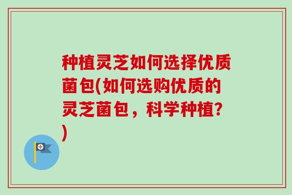 种植灵芝如何选择优质菌包(如何选购优质的灵芝菌包,科学种植?)-第1张图片-卓越灵芝孢子粉 种植灵芝如何选择优质菌包(如何选购优质的灵芝菌包,科学种植?)-第1张图片-卓越灵芝孢子粉