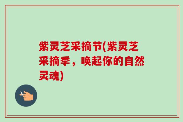 紫灵芝采摘节(紫灵芝采摘季,唤起你的自然灵魂)-第1张图片-卓越灵芝孢子粉 紫灵芝采摘节(紫灵芝采摘季,唤起你的自然灵魂)-第1张图片-卓越灵芝孢子粉