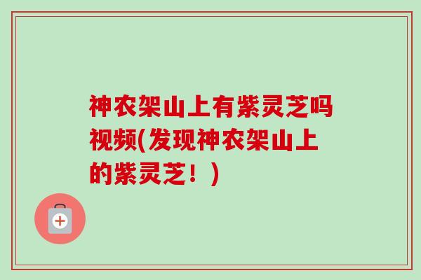 神农架山上有紫灵芝吗视频(发现神农架山上的紫灵芝!)-第1张图片-卓越灵芝孢子粉 神农架山上有紫灵芝吗视频(发现神农架山上的紫灵芝!)-第1张图片-卓越灵芝孢子粉
