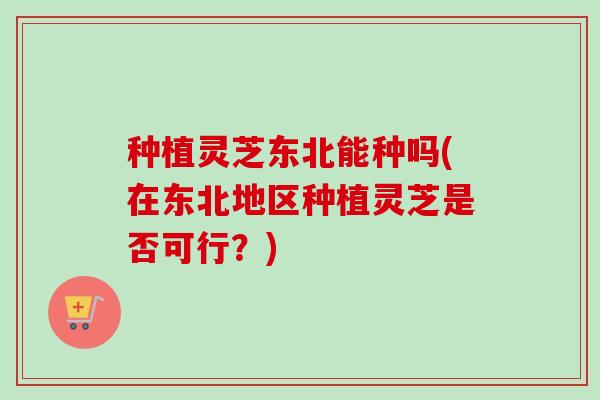 种植灵芝东北能种吗(在东北地区种植灵芝是否可行?)-第1张图片-卓越灵芝孢子粉 种植灵芝东北能种吗(在东北地区种植灵芝是否可行?)-第1张图片-卓越灵芝孢子粉