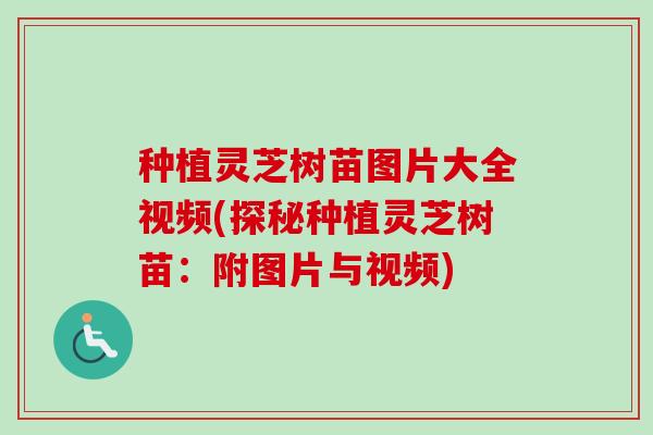 种植灵芝树苗图片大全视频(探秘种植灵芝树苗:附图片与视频)-第1张图片-卓越灵芝孢子粉 种植灵芝树苗图片大全视频(探秘种植灵芝树苗:附图片与视频)-第1张图片-卓越灵芝孢子粉
