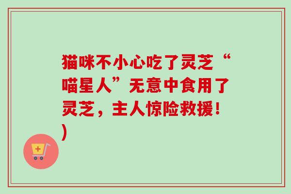 猫咪不小心吃了灵芝“喵星人”无意中食用了灵芝,主人惊险救援!)-第1张图片-卓越灵芝孢子粉 猫咪不小心吃了灵芝“喵星人”无意中食用了灵芝,主人惊险救援!)-第1张图片-卓越灵芝孢子粉