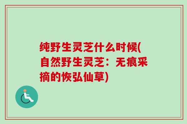 纯野生灵芝什么时候(自然野生灵芝：无痕采摘的恢弘仙草)-第1张图片-卓越灵芝孢子粉