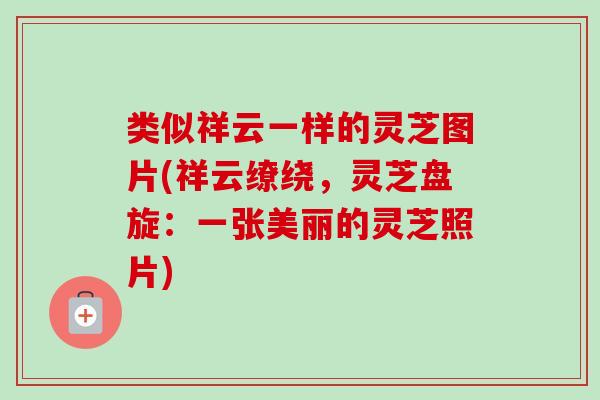 类似祥云一样的灵芝图片(祥云缭绕,灵芝盘旋:一张美丽的灵芝照片)-第1张图片-卓越灵芝孢子粉 类似祥云一样的灵芝图片(祥云缭绕,灵芝盘旋:一张美丽的灵芝照片)-第1张图片-卓越灵芝孢子粉