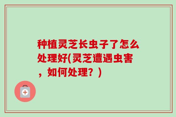 种植灵芝长虫子了怎么处理好(灵芝遭遇虫害,如何处理?)-第1张图片-卓越灵芝孢子粉 种植灵芝长虫子了怎么处理好(灵芝遭遇虫害,如何处理?)-第1张图片-卓越灵芝孢子粉