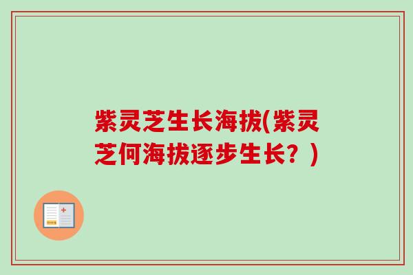 紫灵芝生长海拔(紫灵芝何海拔逐步生长?)-第1张图片-卓越灵芝孢子粉 紫灵芝生长海拔(紫灵芝何海拔逐步生长?)-第1张图片-卓越灵芝孢子粉