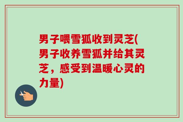男子喂雪狐收到灵芝(男子收养雪狐并给其灵芝，感受到温暖心灵的力量)-第1张图片-卓越灵芝孢子粉