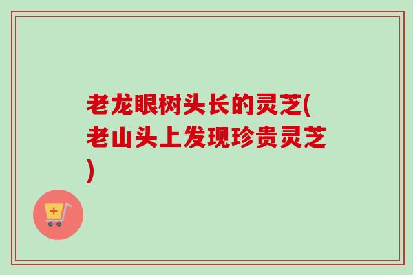 老龙眼树头长的灵芝(老山头上发现珍贵灵芝)-第1张图片-卓越灵芝孢子粉 老龙眼树头长的灵芝(老山头上发现珍贵灵芝)-第1张图片-卓越灵芝孢子粉