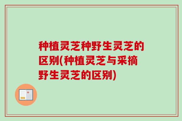 种植灵芝种野生灵芝的区别(种植灵芝与采摘野生灵芝的区别)-第1张图片-卓越灵芝孢子粉