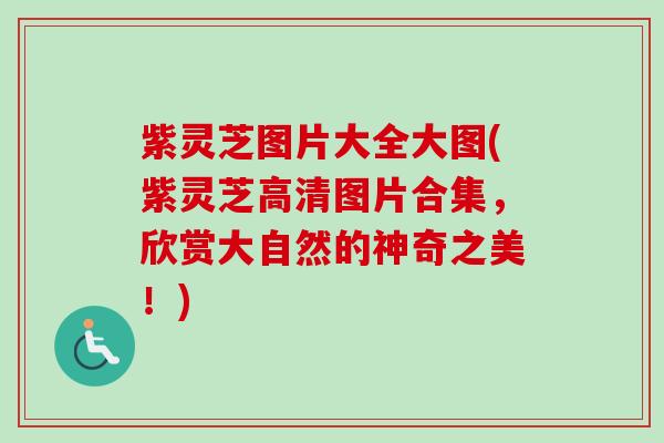 紫灵芝图片大全大图(紫灵芝高清图片合集,欣赏大自然的神奇之美!)-第1张图片-卓越灵芝孢子粉 紫灵芝图片大全大图(紫灵芝高清图片合集,欣赏大自然的神奇之美!)-第1张图片-卓越灵芝孢子粉