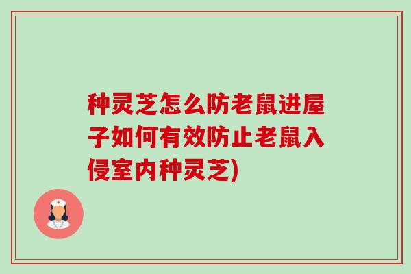 种灵芝怎么防老鼠进屋子如何有效防止老鼠入侵室内种灵芝)-第1张图片-卓越灵芝孢子粉 种灵芝怎么防老鼠进屋子如何有效防止老鼠入侵室内种灵芝)-第1张图片-卓越灵芝孢子粉