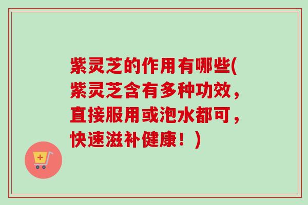 紫灵芝的作用有哪些(紫灵芝含有多种功效，直接服用或泡水都可，快速滋补健康！)-第1张图片-卓越灵芝孢子粉