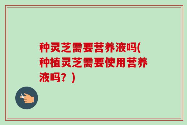 种灵芝需要营养液吗(种植灵芝需要使用营养液吗?)-第1张图片-卓越灵芝孢子粉 种灵芝需要营养液吗(种植灵芝需要使用营养液吗?)-第1张图片-卓越灵芝孢子粉
