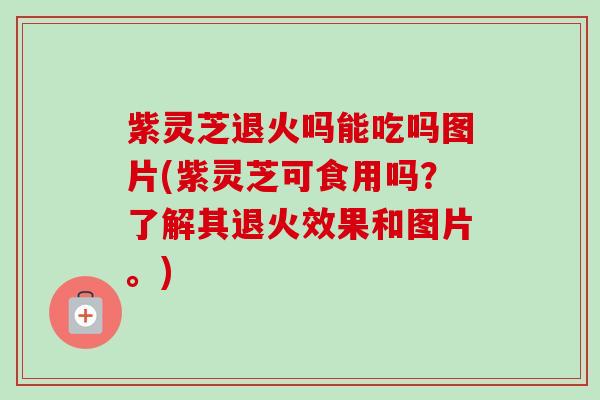 紫灵芝退火吗能吃吗图片(紫灵芝可食用吗?了解其退火效果和图片。)-第1张图片-卓越灵芝孢子粉 紫灵芝退火吗能吃吗图片(紫灵芝可食用吗?了解其退火效果和图片。)-第1张图片-卓越灵芝孢子粉