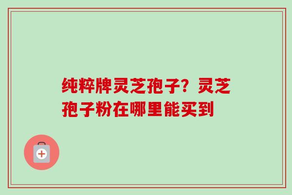 纯粹牌灵芝孢子?灵芝孢子粉在哪里能买到-第1张图片-卓越灵芝孢子粉 纯粹牌灵芝孢子?灵芝孢子粉在哪里能买到-第1张图片-卓越灵芝孢子粉